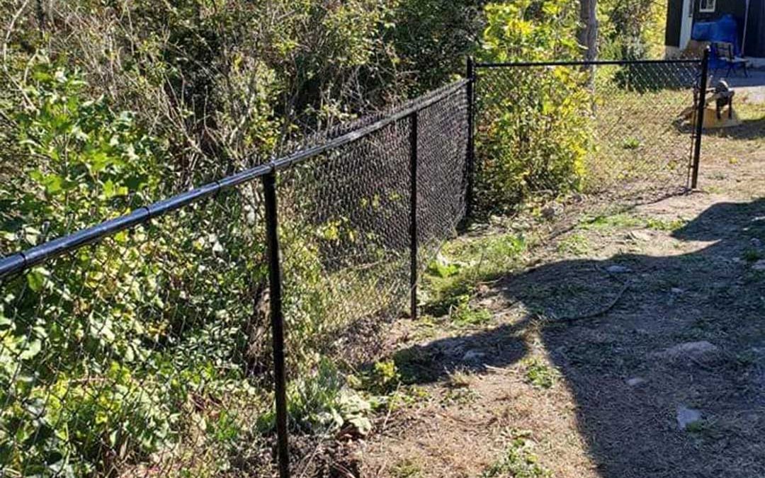 chain link fencing in backyard