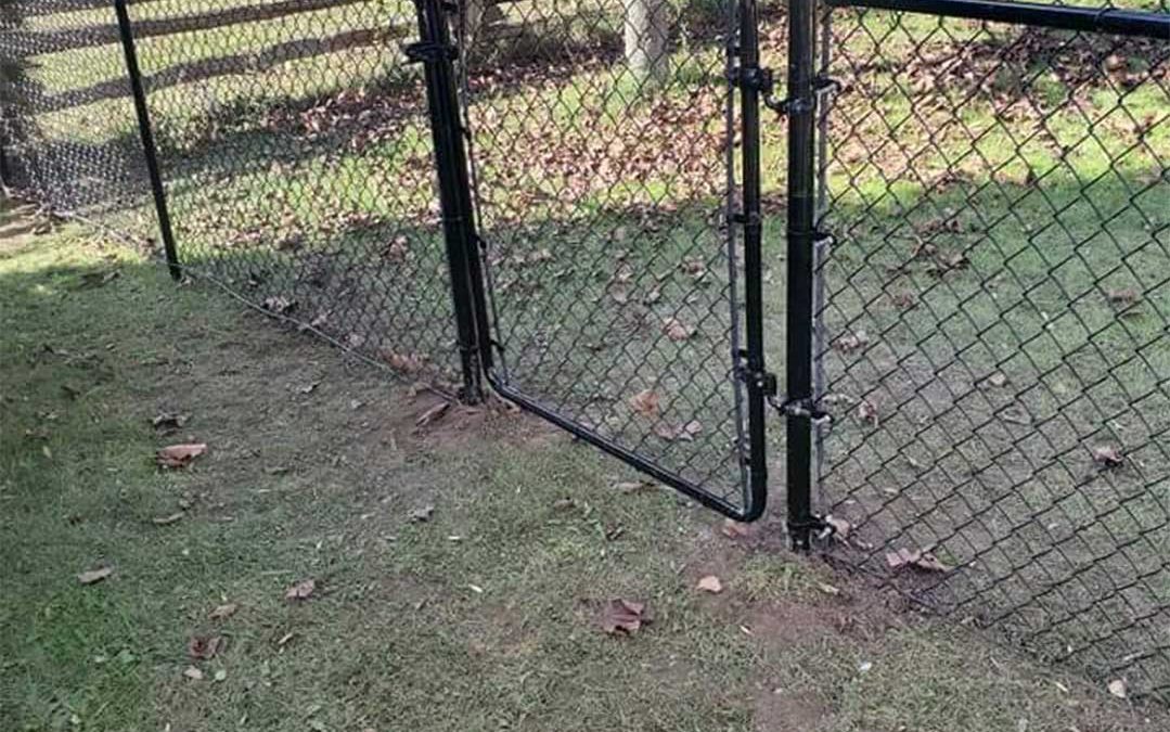 chain link fencing with gate