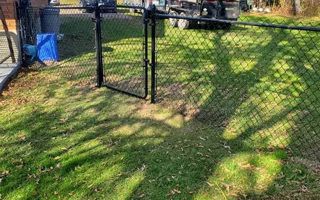 chain link fencing with gate