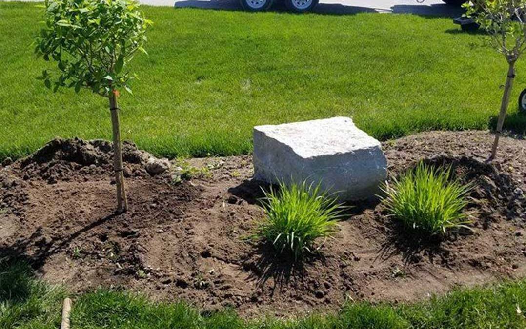 newly landscaped garden bed