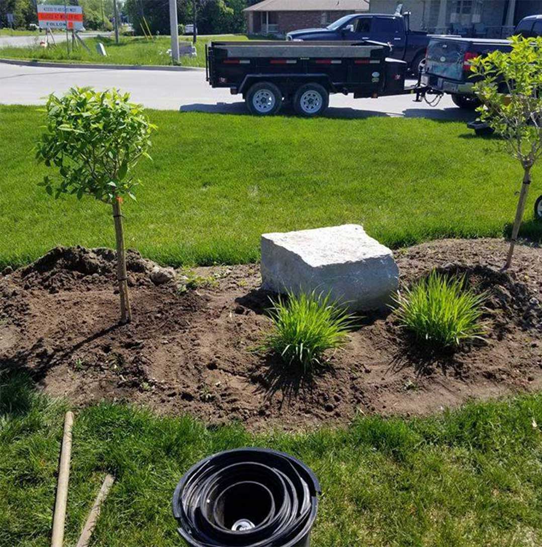 newly landscaped garden bed